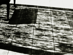 しらんぷり～！