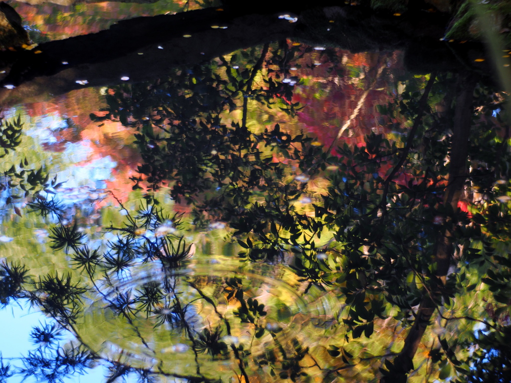 Autumn scenery