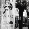 信楽作家市