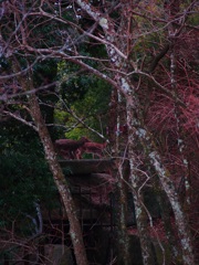 散歩