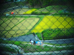 秘密基地