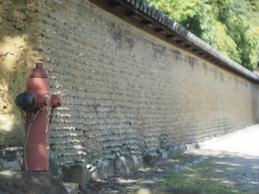 東大寺お守り隊１