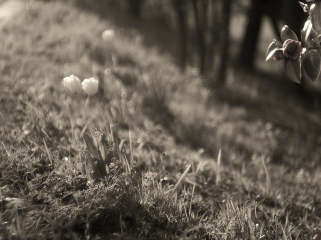 sometime,someone