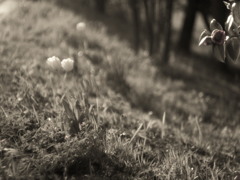 sometime,someone
