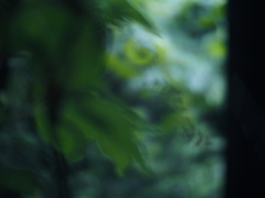 硝子の向こう