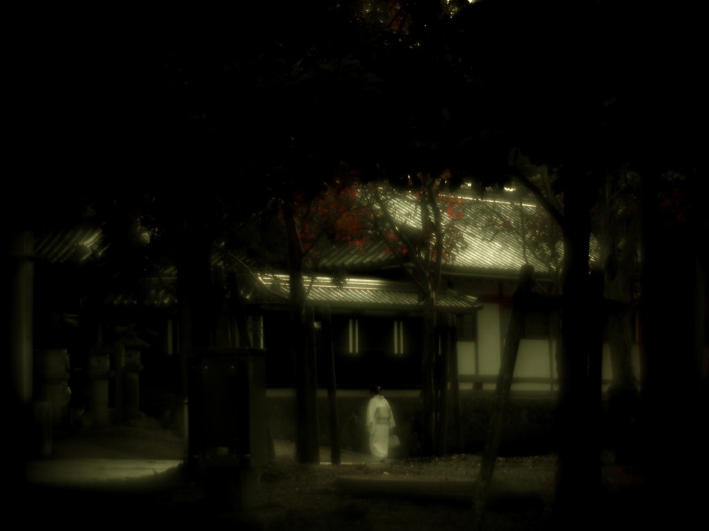奈良散策 Ⅰ（Rejoicings）
