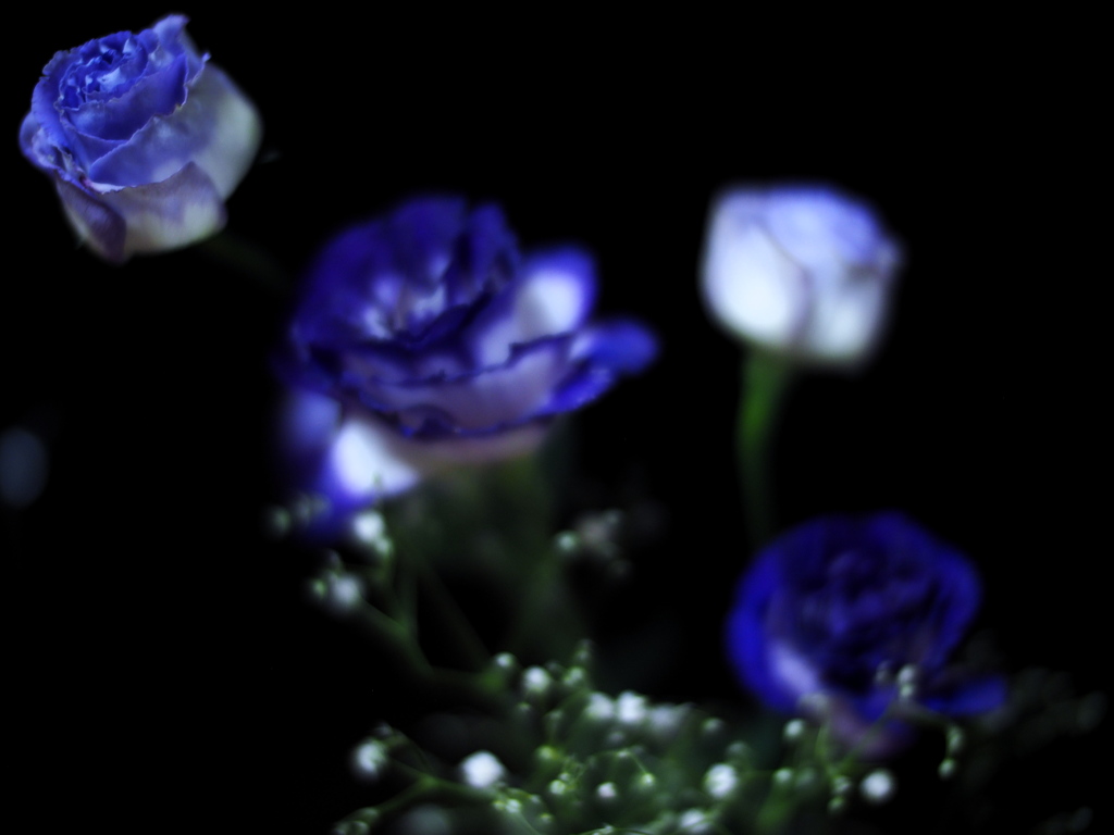 The 31st anniversary bouquet