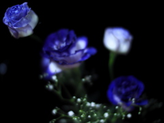 The 31st anniversary bouquet