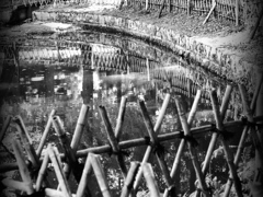 with a bamboo fence