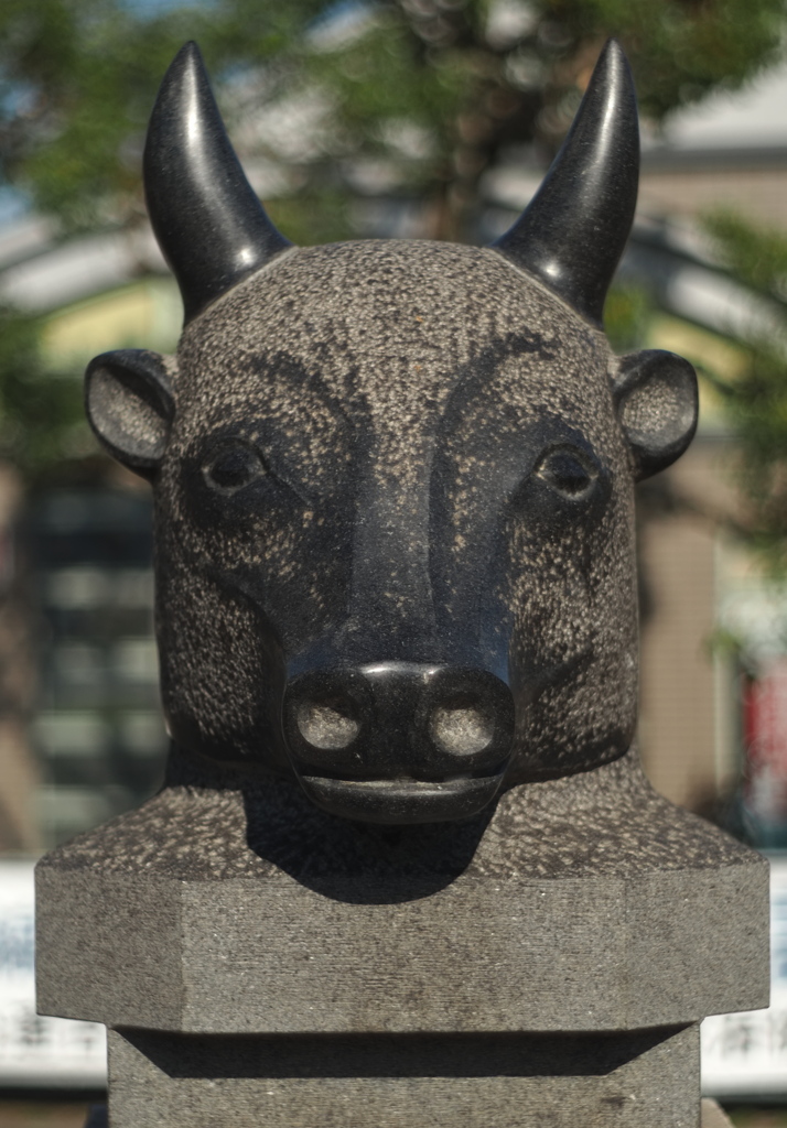 宇宙(天と地と太陽 COSMOS in NARA)「丑（うし）」その弐