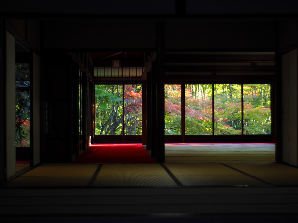 京都へ行こう！天授庵  二葉 其の一