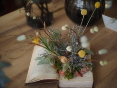 Kachaの花が咲く１