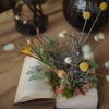 Kachaの花が咲く１
