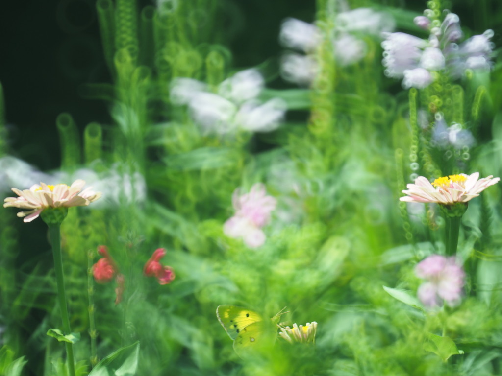 A butterfly is to ・・