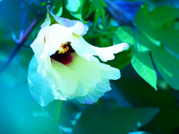 晩夏Ⅲ