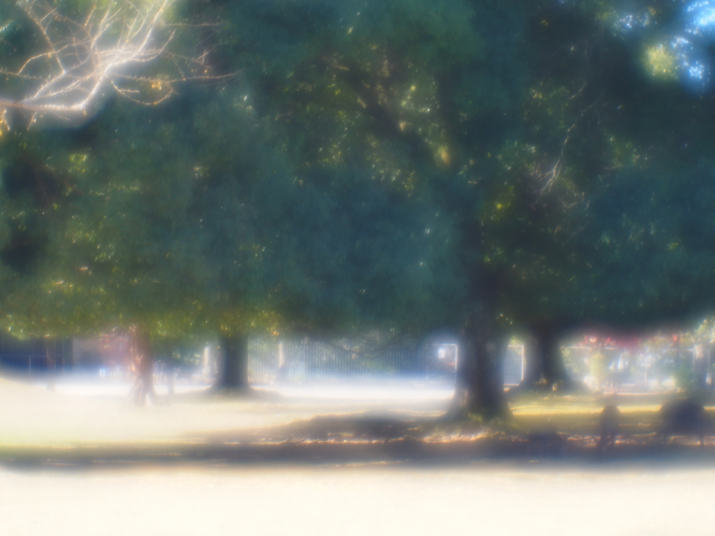 東大寺 幹と剪定の重み