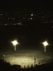 Field of Dreams