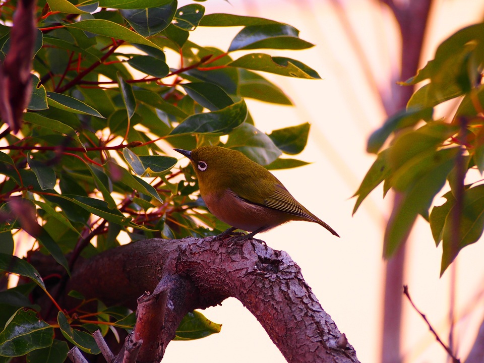 こんなこみたことない　その２