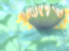眩