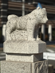 宇宙(COSMOS in NARA 天と地と太陽）「戌（いぬ）」