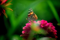 ともに百日美しく・・