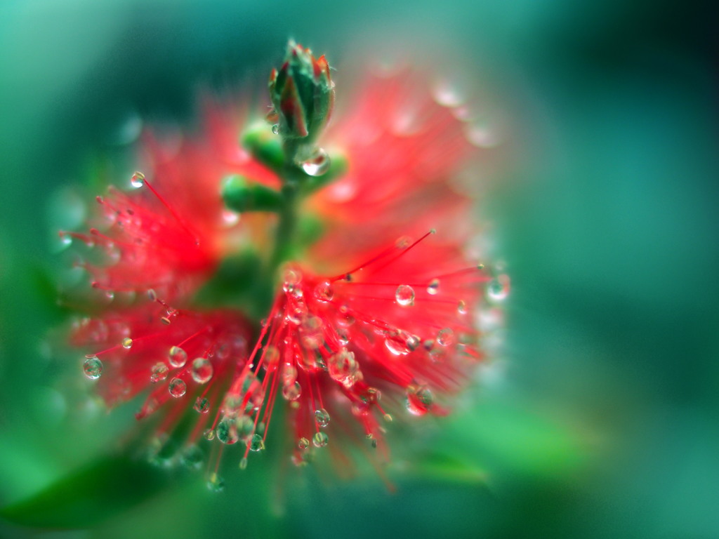 rainy