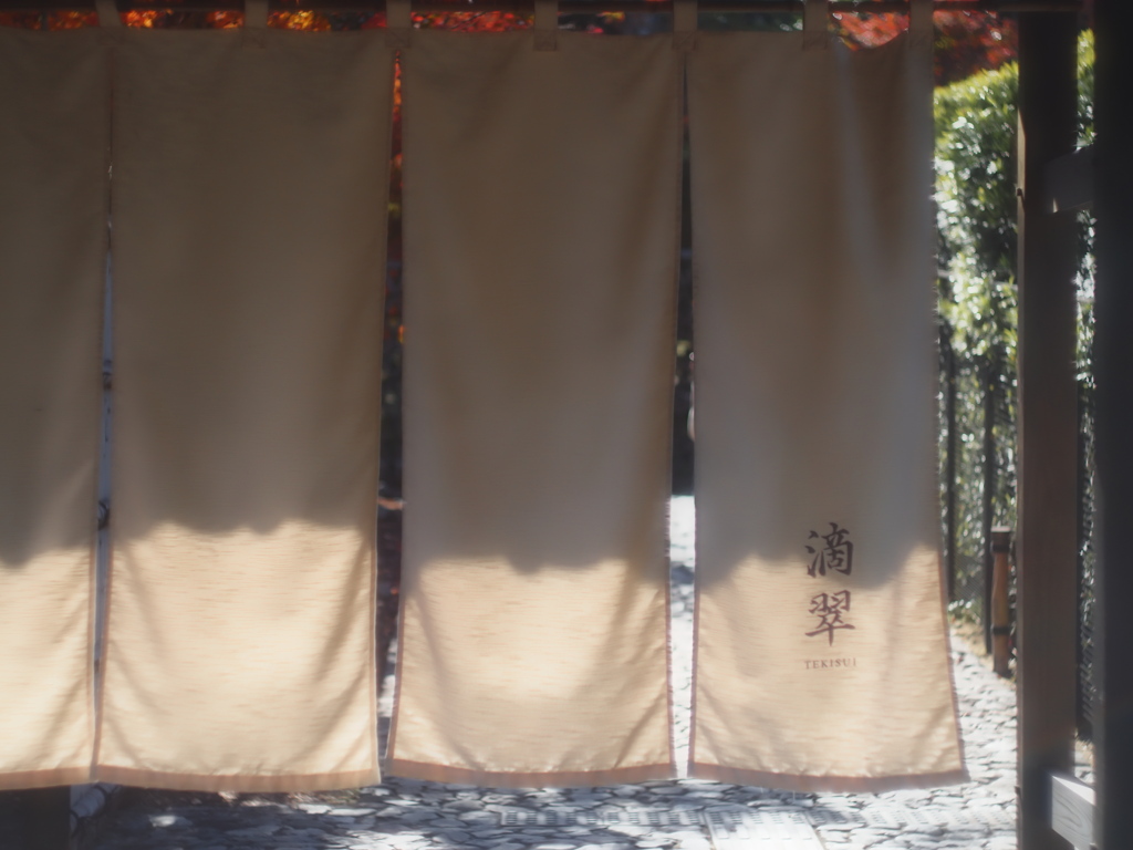 くぐれずスルーする・・（暖簾１）