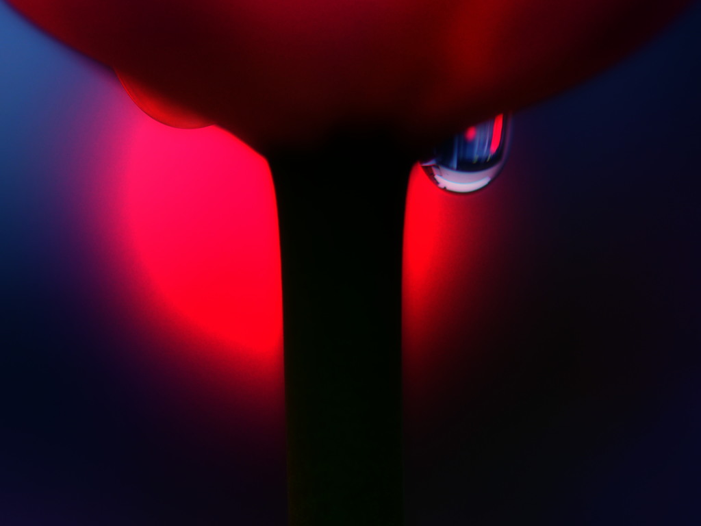 ワインをば・・