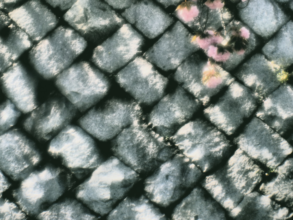 八重
