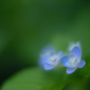 もう一枚だけ・・