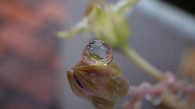 水滴