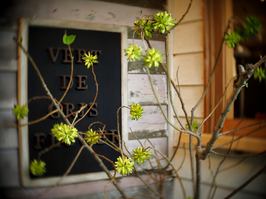 VERT DE GRIS