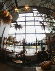 （天こ盛りと）天じょう盛り