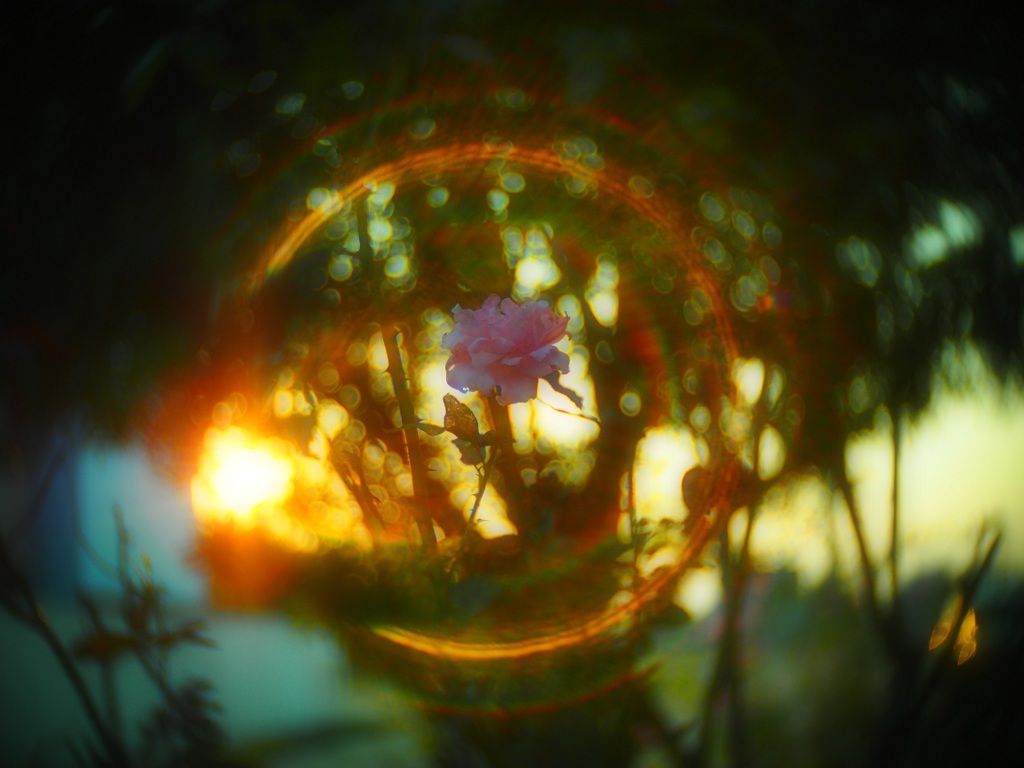 ここに幸あらんことを・・Ⅱ