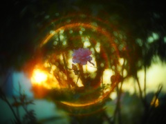 ここに幸あらんことを・・Ⅱ