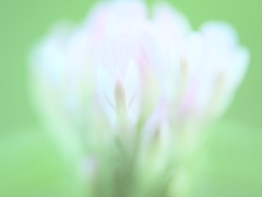 光けぶる１