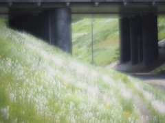 こんなとこでひと遊び
