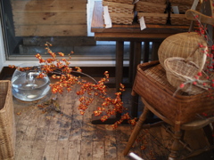 いろいろがナチュラル