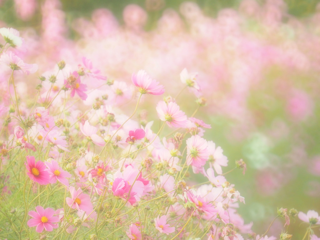 遅刻です・・・（６days before）