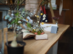 Kachaの花が咲く２