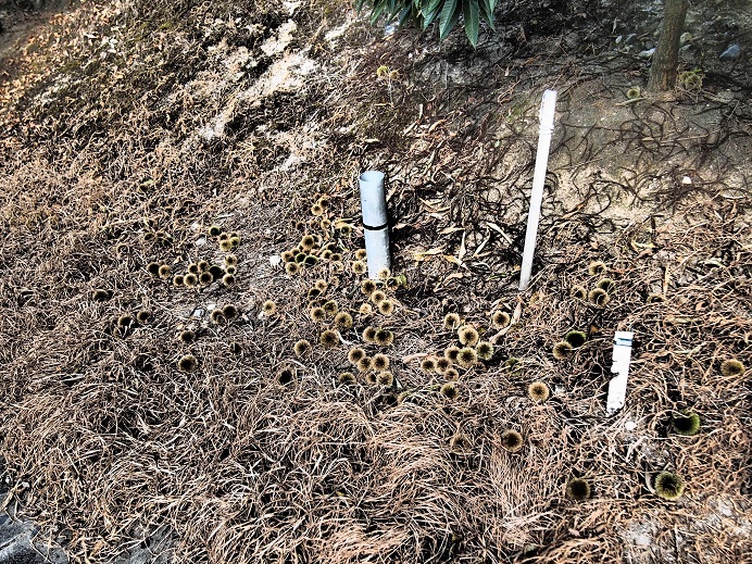 マックロクロスケ