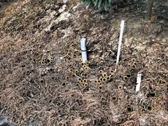 マックロクロスケ