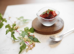 Kacha The Dessert