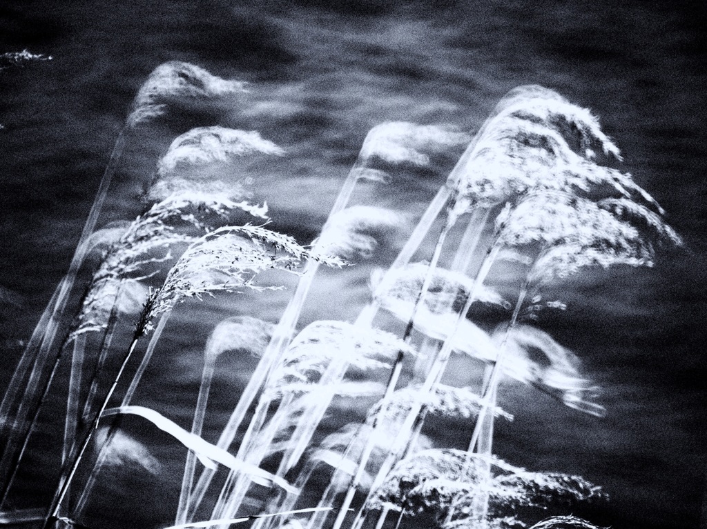 Water Side・・・