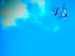 We Ⅴ