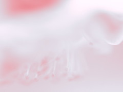 静かに、、