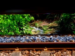 プラットホームの下には