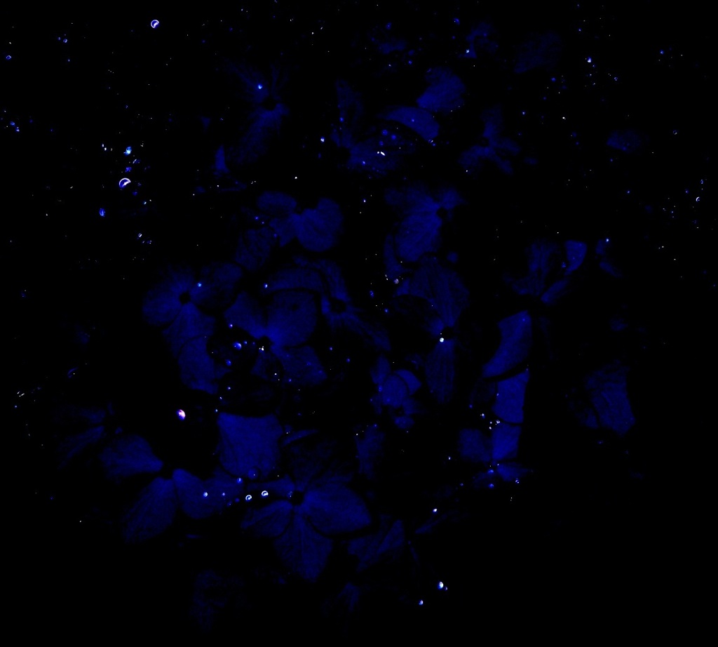 星々にも似て