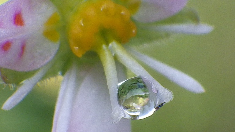 水滴