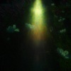 私たちに降りそそぐものⅡ